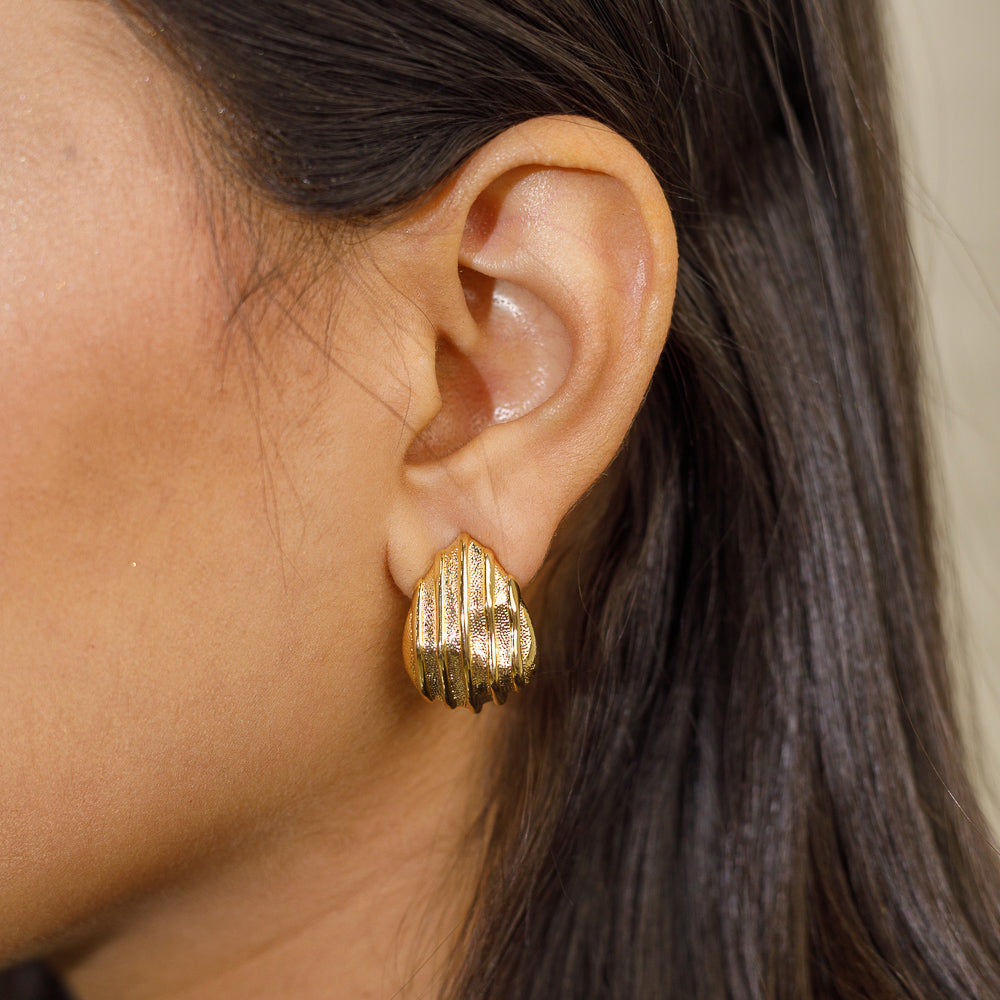 Brass Shell Stud Earrings – Gold