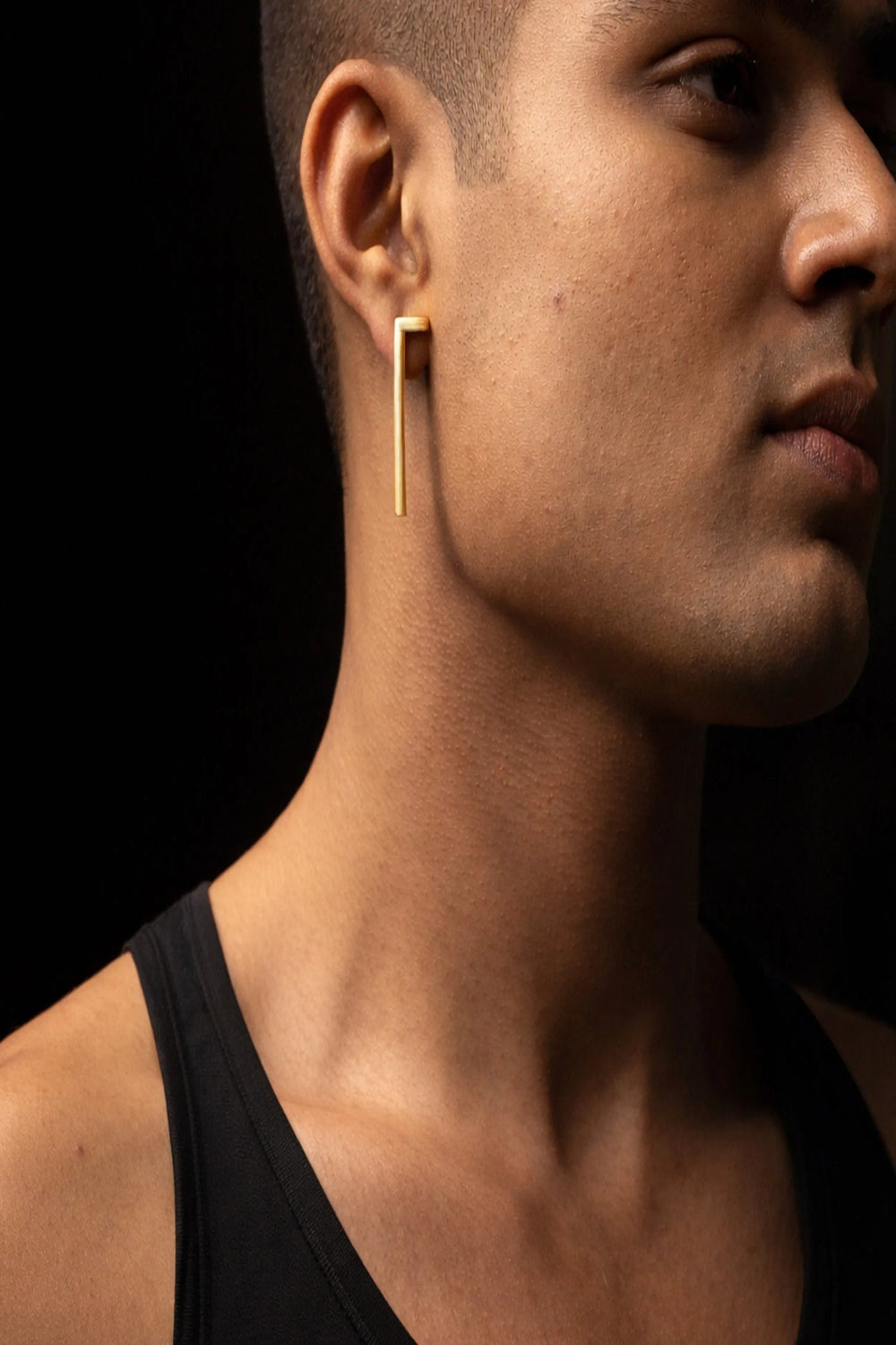 Duo- Geometric Brass Earrings